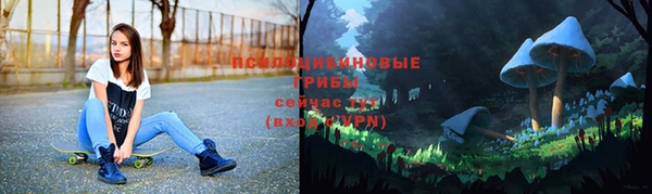 ALPHA PVP Аркадак