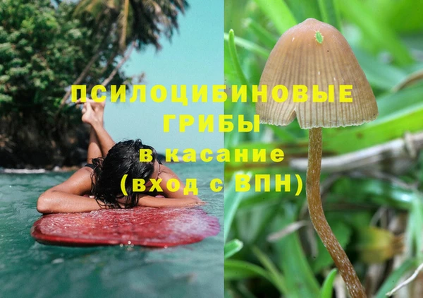 гидра Армянск